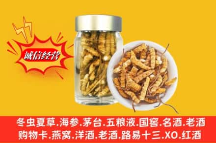 措美县回收散虫草